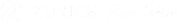 logo Zurich